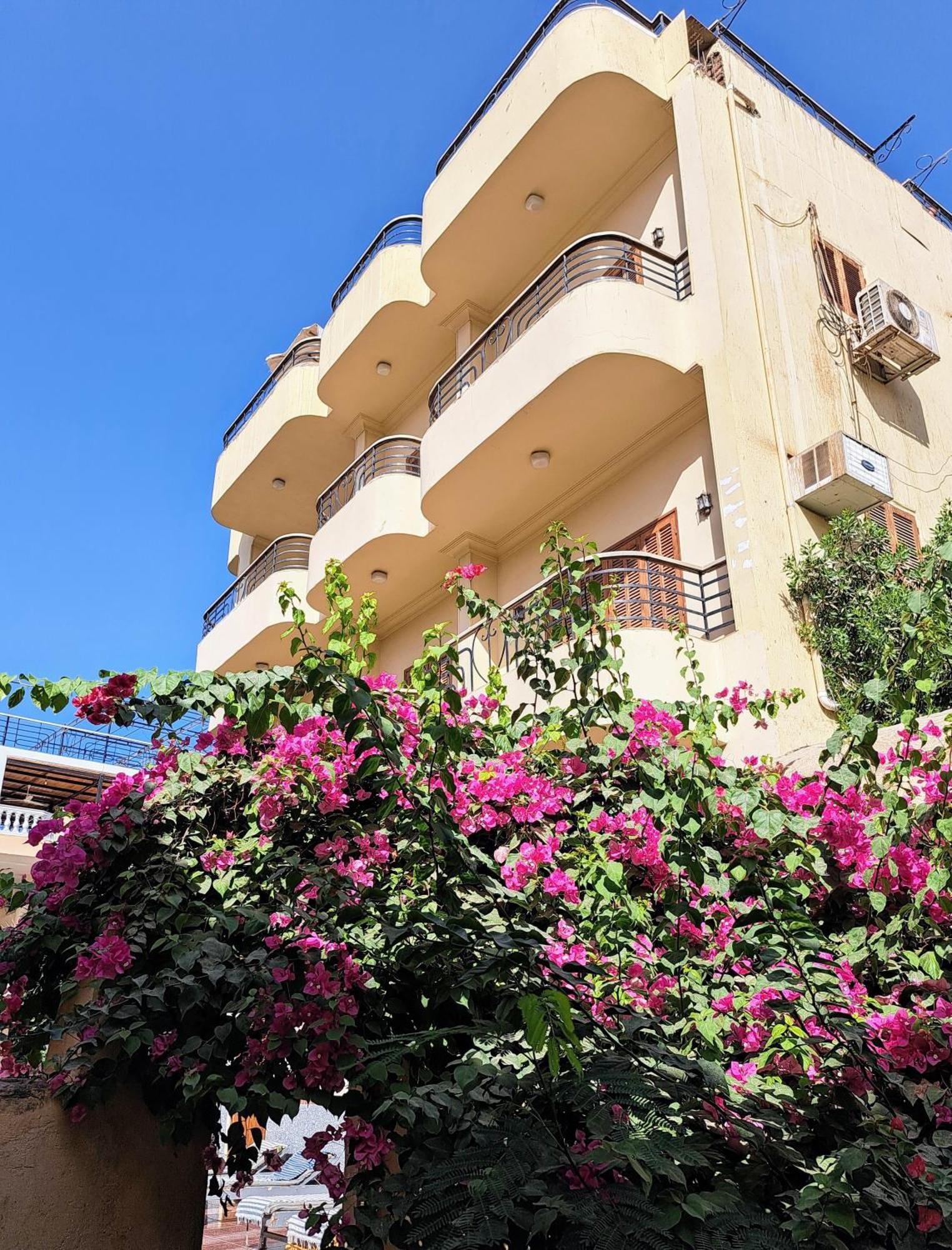 Belzoni Apartmán *